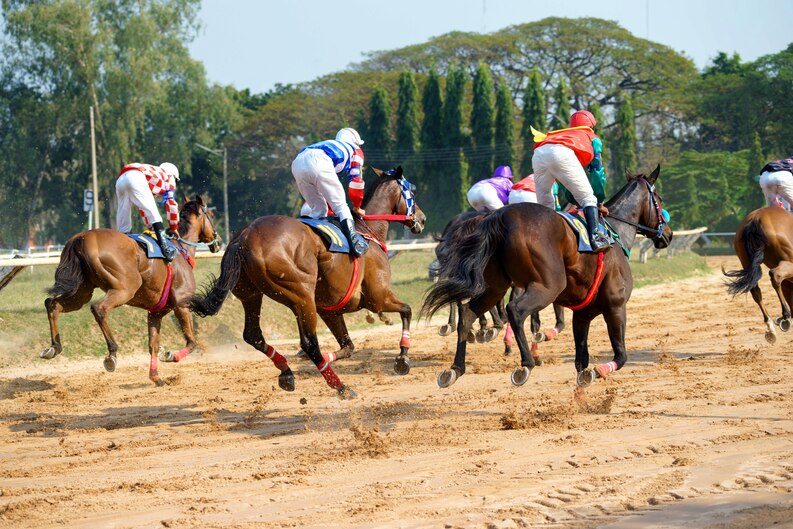 Chauffeur hire for Grand National Aintree London