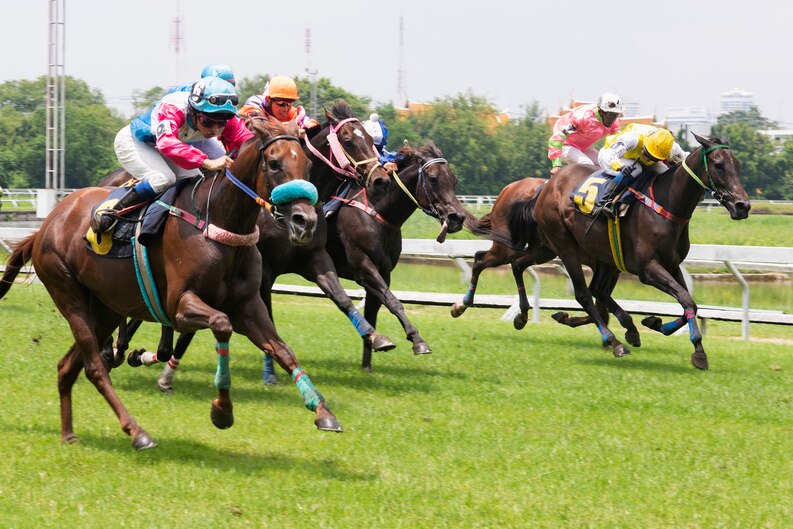 Derby epsom chauffeur service