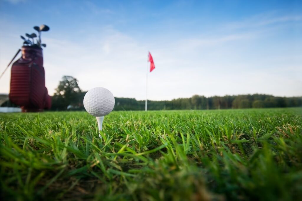 open championship chauffeur